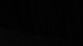 Raúl Jiménez es el máximo anotador del Wolverhamton Wanderers con 17 goles en todas las competencias