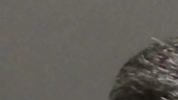 El sospechoso fue identificado como Richard Bloustine quien conducía un Mercedes plateado.