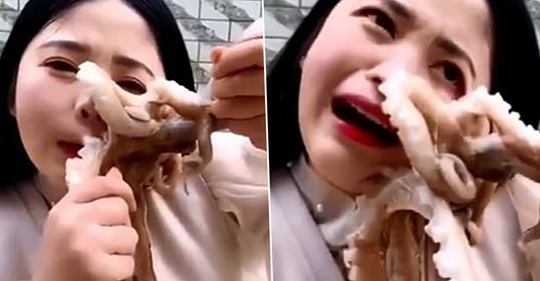 VÍDEO: Un pulpo ataca a una mujer que se lo intentaba comer vivo
