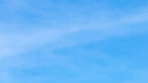 Sólo el 11.7% de los ciudadanos adultos llegan a obtener una licenciatura en esta ciudad.