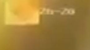 Obligaron al menor a arrodillarse y le dispararon por la espalda.