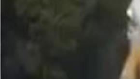 Gaviota bloquea la cámara de tráfico de Londres.