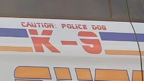 Agentes federales y oficiales de la Oficina del Alguacil del Condado Harris informaron que arrestaron a un presunto pandillero de la MS-13.