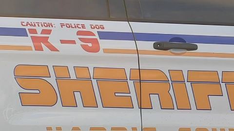 Agentes federales y oficiales de la Oficina del Alguacil del Condado Harris informaron que arrestaron a un presunto pandillero de la MS-13.