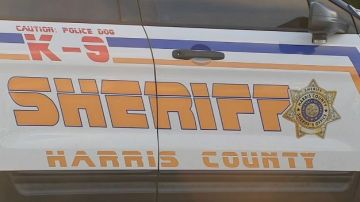 Agentes federales y oficiales de la Oficina del Alguacil del Condado Harris informaron que arrestaron a un presunto pandillero de la MS-13.