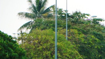 cambio de carril