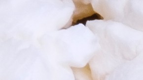 vale la pena pagar por netflix