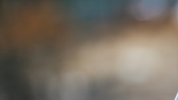 Por 2,500 euros dejó que cometieran dicha atrocidad.