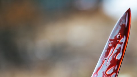 Por 2,500 euros dejó que cometieran dicha atrocidad.