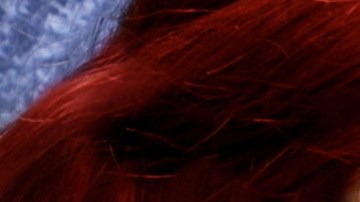 prestamos personales en linea