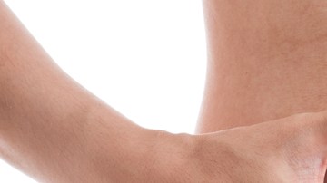 metabolismo