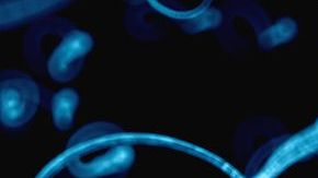 El esperma también envejece.