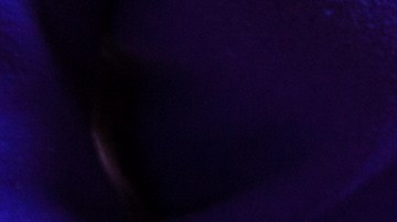 ahorrar dinero en comida