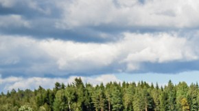 conducir suelo mojado