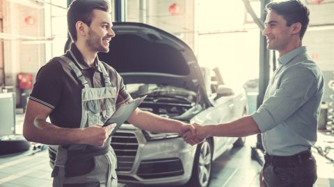 inspección auto