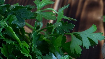 té de perejil