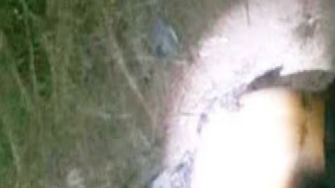 Sicarios de El Mencho y El Marro se queman vivos entre ellos joven se suma a la lista