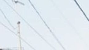 En guerra entre "El Mencho" y "El Marro" ni a los niños se salvan