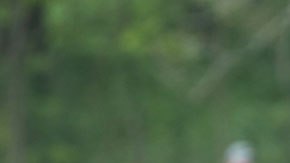 El caddie es quien carga los palos de los golfistas.