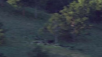 Una de las imágenes presentadas en el 
Informe de Actualización del Proyecto a la Legislatura del Estado de California.