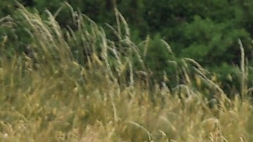 Los gastos que se han hecho equivalen a 255 veces el salario presidencial.