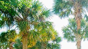 Águeda López hace yoga con su hija Mikaela