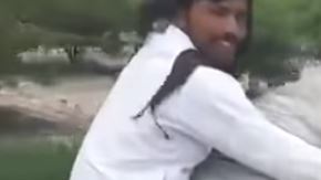 El video del bovino viajero fue registrado en Pakistán.