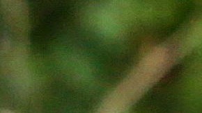 Valeria Sofía Rodríguez, la ganadora de "Exatlón 2" en Telemundo