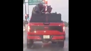 Captan a sicarios del Cártel del Noreste armados en calles de Nuevo Laredo