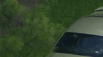 La Policía de Pasadena informó que fueron llevados a una persona de interés el jueves gracias a una pista que les llegó por una llamada a Crime Stoppers