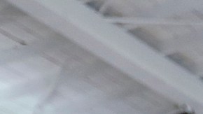 El voto latino hará la diferencia el 3 de marzo.  (Aurelia Ventura/La Opinión)