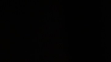 Mónica Rodríguez la sacan de comités claves en el Concejo de LA. (Aurelia Ventura/La Opinion)