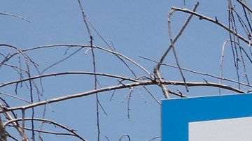 De acuerdo al sitio digital, El centro de convalecencia Long Beach Healthcare Center tiene 39  avisos o advertencias, tres veces más del promedio a nivel estatal. (Aurelia Ventura/La Opinión)