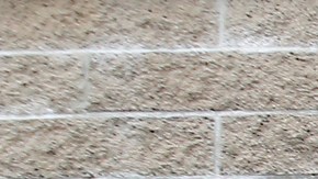 06/21/19/LOS ANGELES/A long line snakes around a DMV in Los Angeles. The long lines, prompted by the REAL ID, are prompting pressure by outraged Californians to reduce wait times. (Aurelia Ventura/La Opinión)