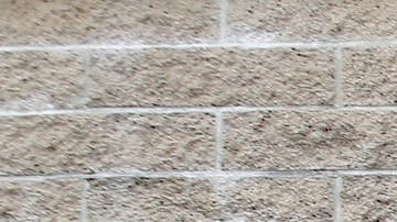 06/21/19/LOS ANGELES/A long line snakes around a DMV in Los Angeles. The long lines, prompted by the REAL ID, are prompting pressure by outraged Californians to reduce wait times. (Aurelia Ventura/La Opinión)