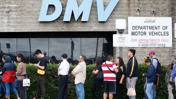 06/21/19/LOS ANGELES/A long line snakes around a DMV in Los Angeles. The long lines, prompted by the REAL ID, are prompting pressure by outraged Californians to reduce wait times. (Aurelia Ventura/La Opinión)