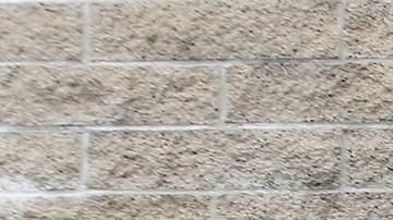 Las largas colas están causando presión de residentes al DMV para reducir la espera.