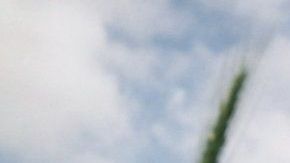 106282401_gettyimages-583502574