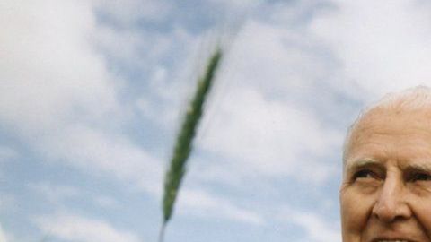 106282401_gettyimages-583502574