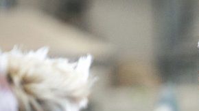 107085497_gettyimages-937775554