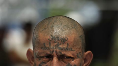107224866_ms-1
