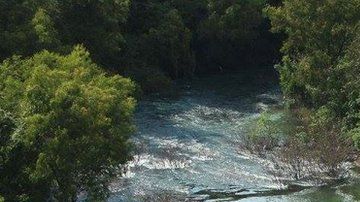 107289159_capture6