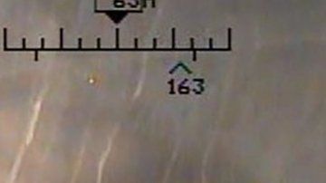 107425229_befunky-collage-1