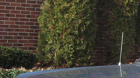 Primera generación del Ford Mustang / Foto: Wiki Commons