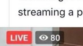 Un gobierno provincial de Pakistán da una conferencia en vivo con el filtro de gato.