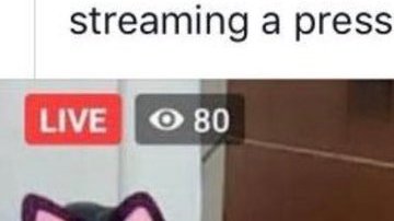 Un gobierno provincial de Pakistán da una conferencia en vivo con el filtro de gato.