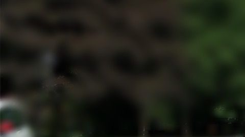 El lujoso vehículo se encuentra en renta