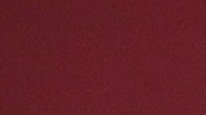 Rueda de prensa diaria del presidente mexicano López Obrador