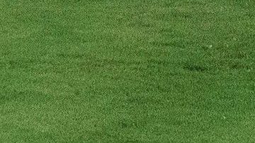 El jugador de la selección de fútbol de Argentina Lionel Messi.