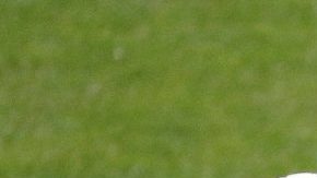 Brasil busca triunfar en su Copa América en este 2019.